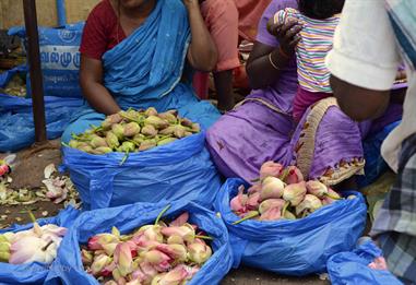 Flower-Market, Madurai,_DSC_8218_H600